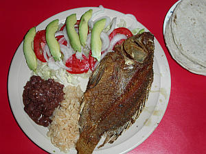 Fisch